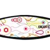 Best Divers Cinturino in neoprene FISH2