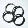 Best Divers O-RING POSTERIORE PER ALTAIR-SUPER BELLATRIX-ALDEBARAN