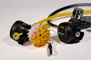 Best Divers Porta octopus Pesce palla
